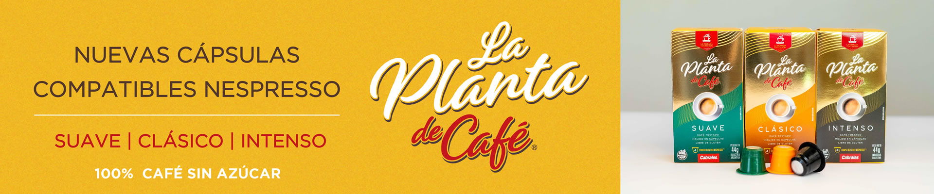 BANNER_-_TIENDA_ONLINE_-_CABRALES-03
