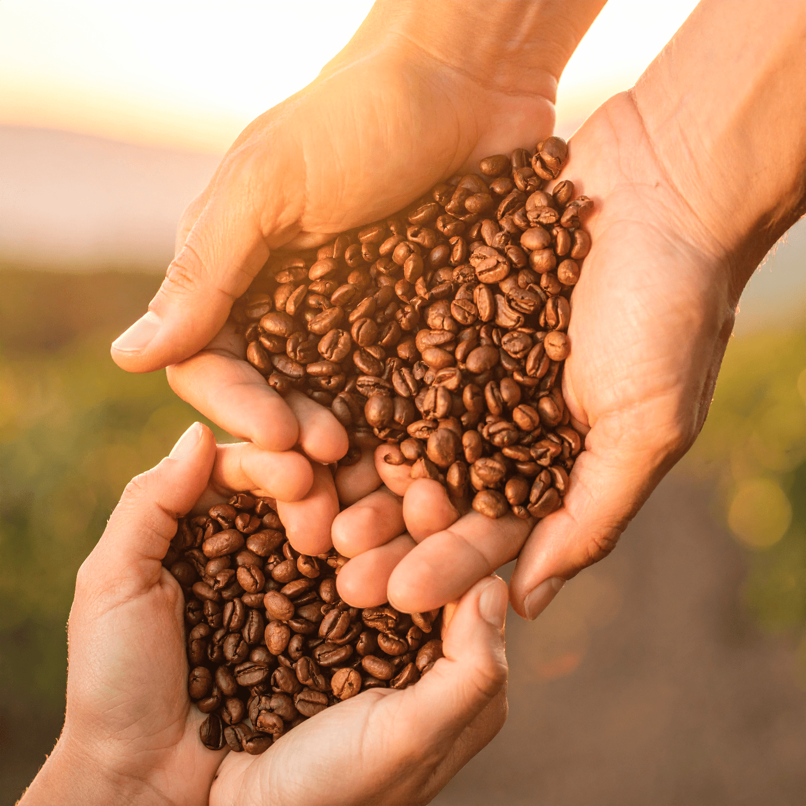 Cafe Selecciona Aima Tienda Deli