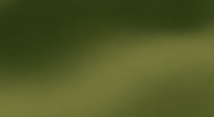 Whisk_edfeba4735e6017bd3141c1beca98cbddr Avellanas bañadas con Chocolate blanco x 50g